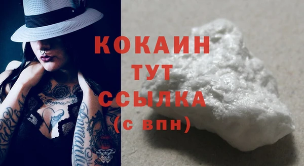 бошки Дмитриев