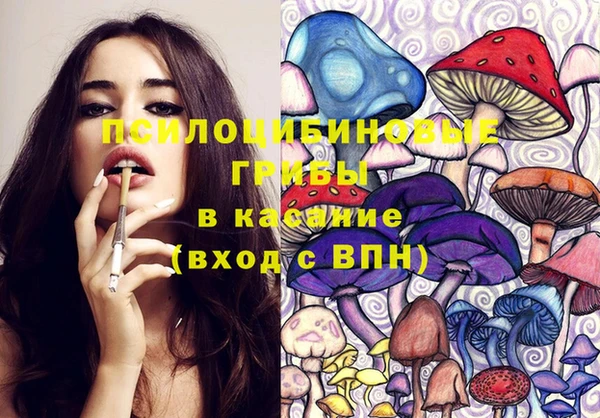 бошки Дмитриев