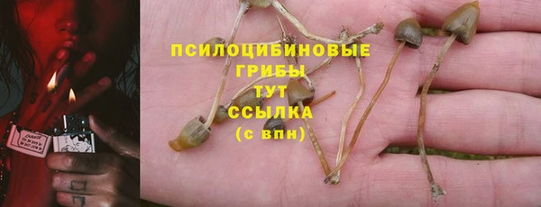 прущий лед Дмитров