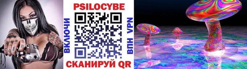 Купить  Курганинск  Псилоцибиновые грибы Magic Shrooms 